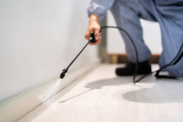 Licensed Termite Control service in Odessa, TX - Show Me Pest Control